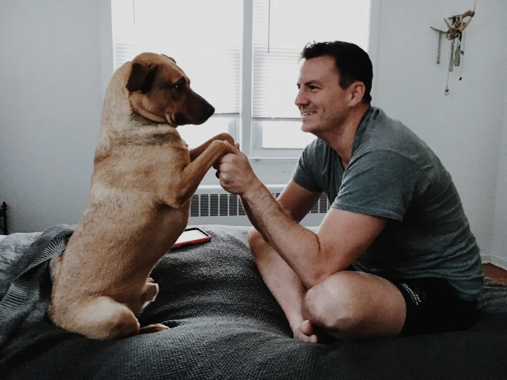 3 Reasons Why You May Want to Rethink Sleeping With Your Pet